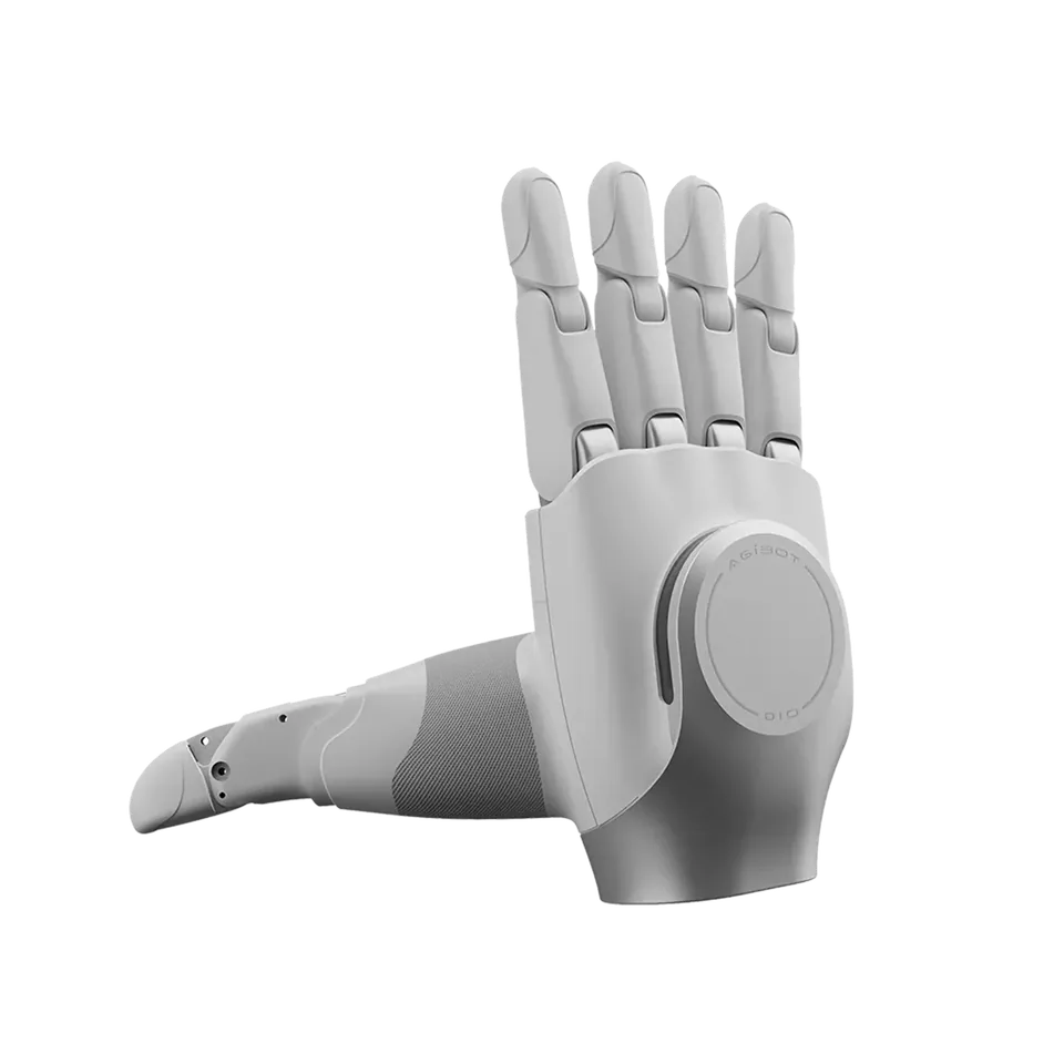 OmniHand (2025, O10)