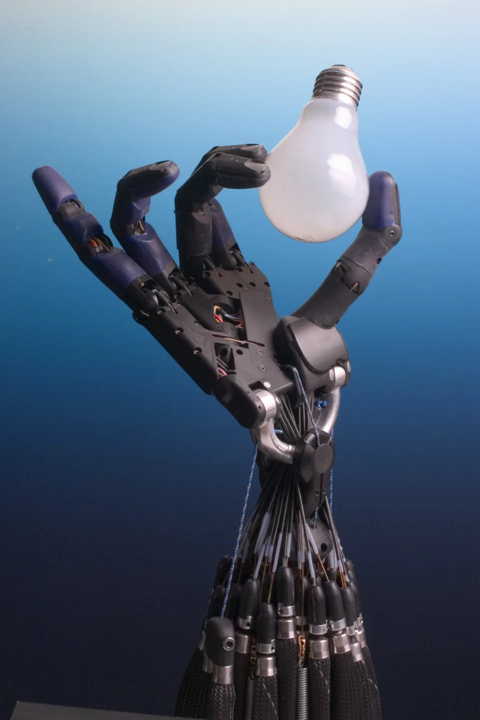 Shadow Dexterous Hand
